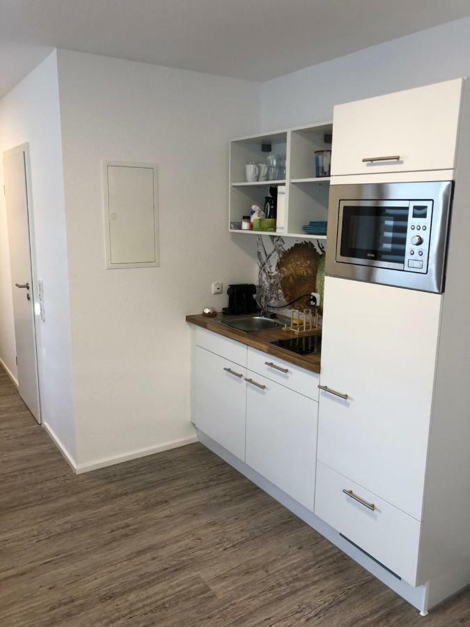 Apartment Nahe Siemens Campus エルランゲン エクステリア 写真
